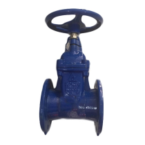 Van cổng ty chìm tay quay Shin Yi RVHX-DN100